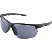 ALPINA DEFEY HR Sportbrille ALPINA DEFEY HR Sportbrille