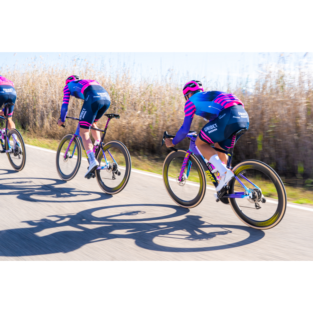 Santini UNIBET ROSE ROCKETS – BIB SHORTS Trägershorts – Bild 4