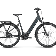 ROSE Xtra Watt Plus 3 LowStep ROSE Xtra Watt Plus 3 LowStep