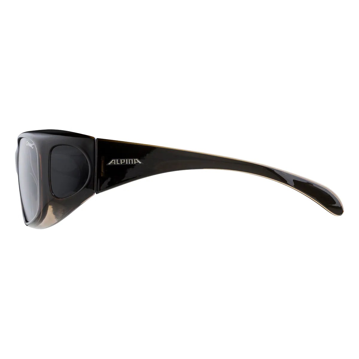 ALPINA OVERVIEW Brille – Bild 4