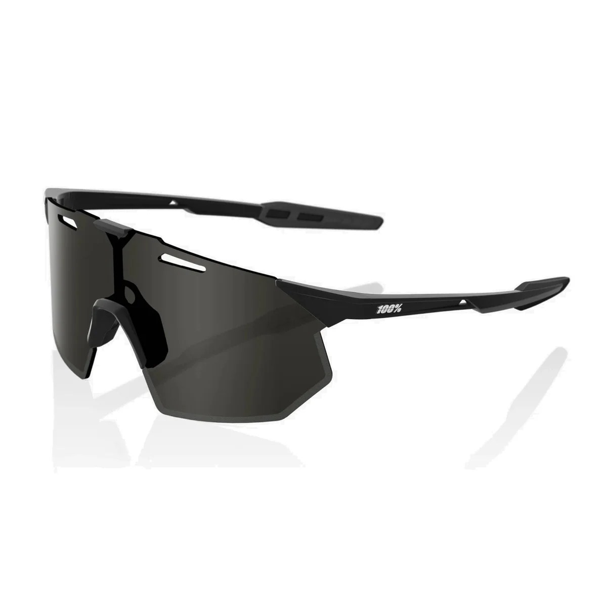 100% HYPERCRAFT SQ – SMOKE LENS Sportbrille 100% HYPERCRAFT SQ – SMOKE LENS Sportbrille
