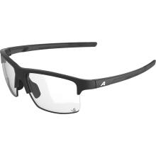 ALPINA EAGLE V Sportbrille ALPINA EAGLE V Sportbrille