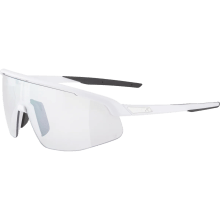 ALPINA TURBO PRO V Sportbrille ALPINA TURBO PRO V Sportbrille