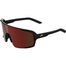ALPINA LUMIN Sportbrille ALPINA LUMIN Sportbrille