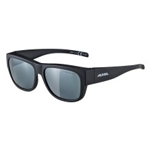 ALPINA OVERVIEW II P Brille ALPINA OVERVIEW II P Brille