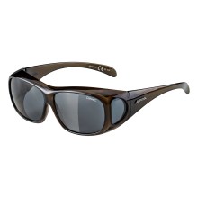 ALPINA OVERVIEW Brille ALPINA OVERVIEW Brille