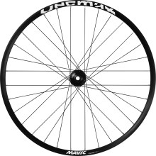 MAVIC Deemax Park Disc 29“ MTB-Vorderrad BOOST (20x110 mm) 6-Loch MAVIC Deemax Park Disc 29“ MTB-Vorderrad BOOST (20x110 mm) 6-Loch