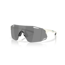 OAKLEY CYBR DYNO Sport Sonnenbrille OAKLEY CYBR DYNO Sport Sonnenbrille