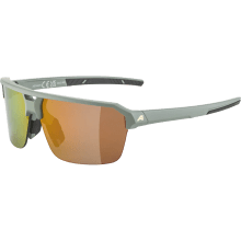 ALPINA SWIFT HR Sportbrille ALPINA SWIFT HR Sportbrille