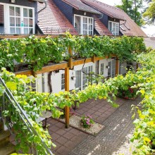 Auszeit mit Wein & Kulinarik Auszeit mit Wein & Kulinarik