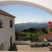 Spanien Pur: Die Welt des Weins Spanien Pur: Die Welt des Weins