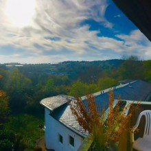 Kurztrip in Idar-Oberstein – Auf den Spuren der Wildkatze Kurztrip in Idar-Oberstein – Auf den Spuren der Wildkatze