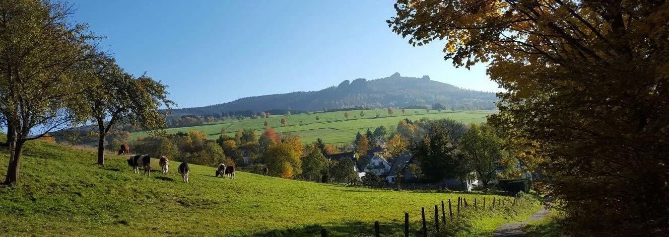 Doggyday® – Bild 2