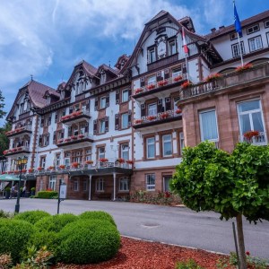 Weihnachten im Palmenwald Weihnachten im Palmenwald