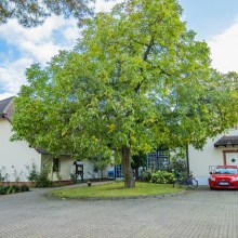 3 Tage Winter-Wohlfühl-Wellness 3 Tage Winter-Wohlfühl-Wellness