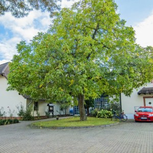 Große Auszeit im Ferien Hotel Spreewald Große Auszeit im Ferien Hotel Spreewald