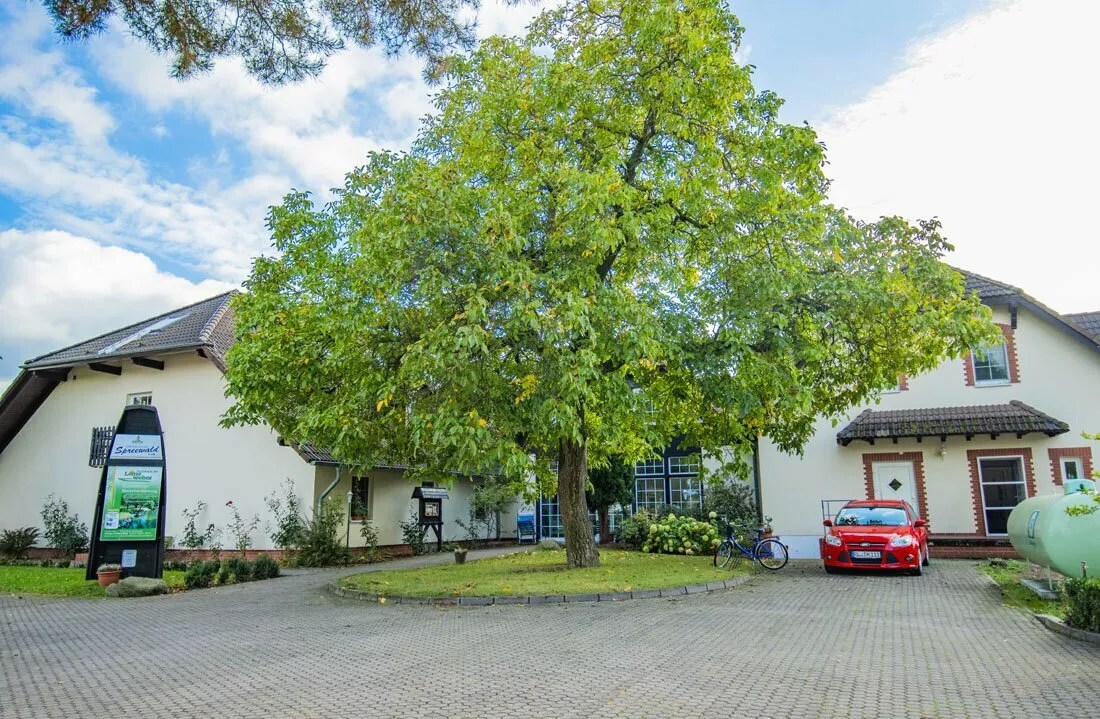 4 Spreewald-Entdeckertage inkl. Eintritt Fürst Pückler Museum – Bild 2