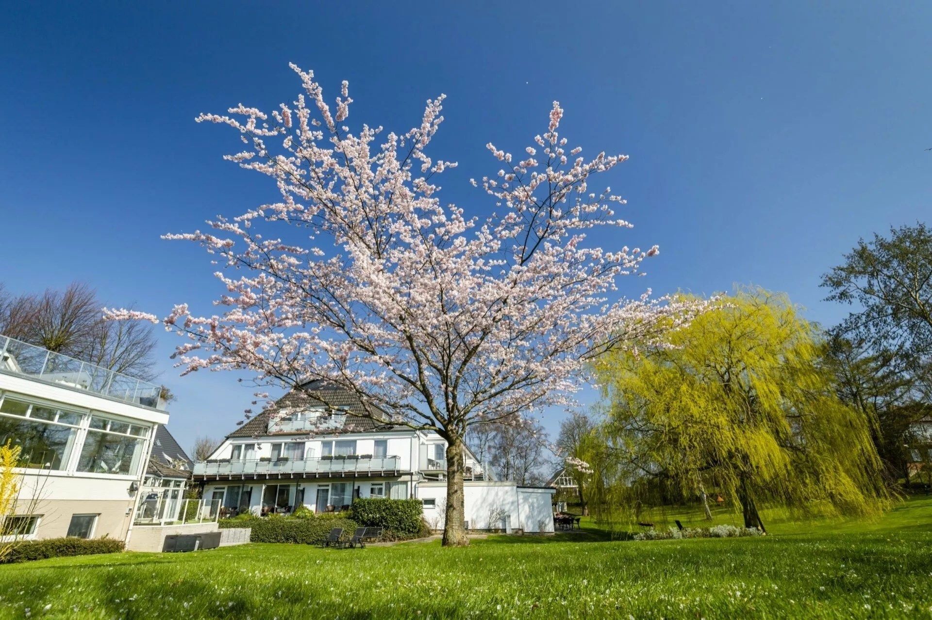 Silvester (7 Nächte) Silvester (7 Nächte)