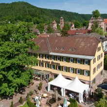 Kurze Auszeit im Schwarzwald Kurze Auszeit im Schwarzwald