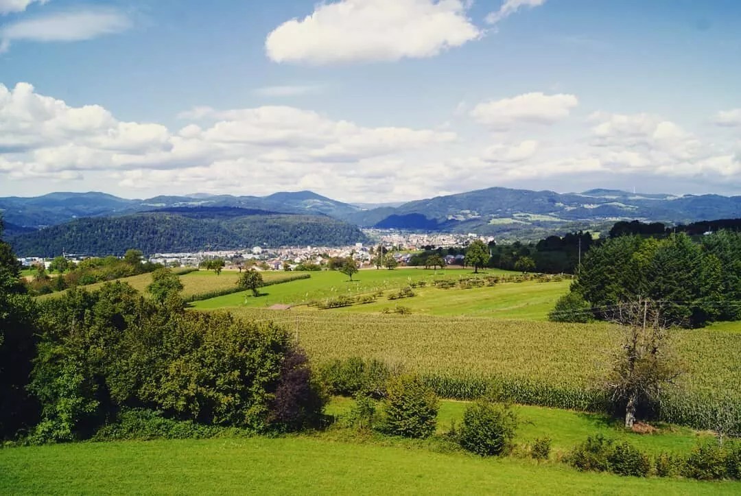 7 Tage Erholung und Genuss im Schwarzwald