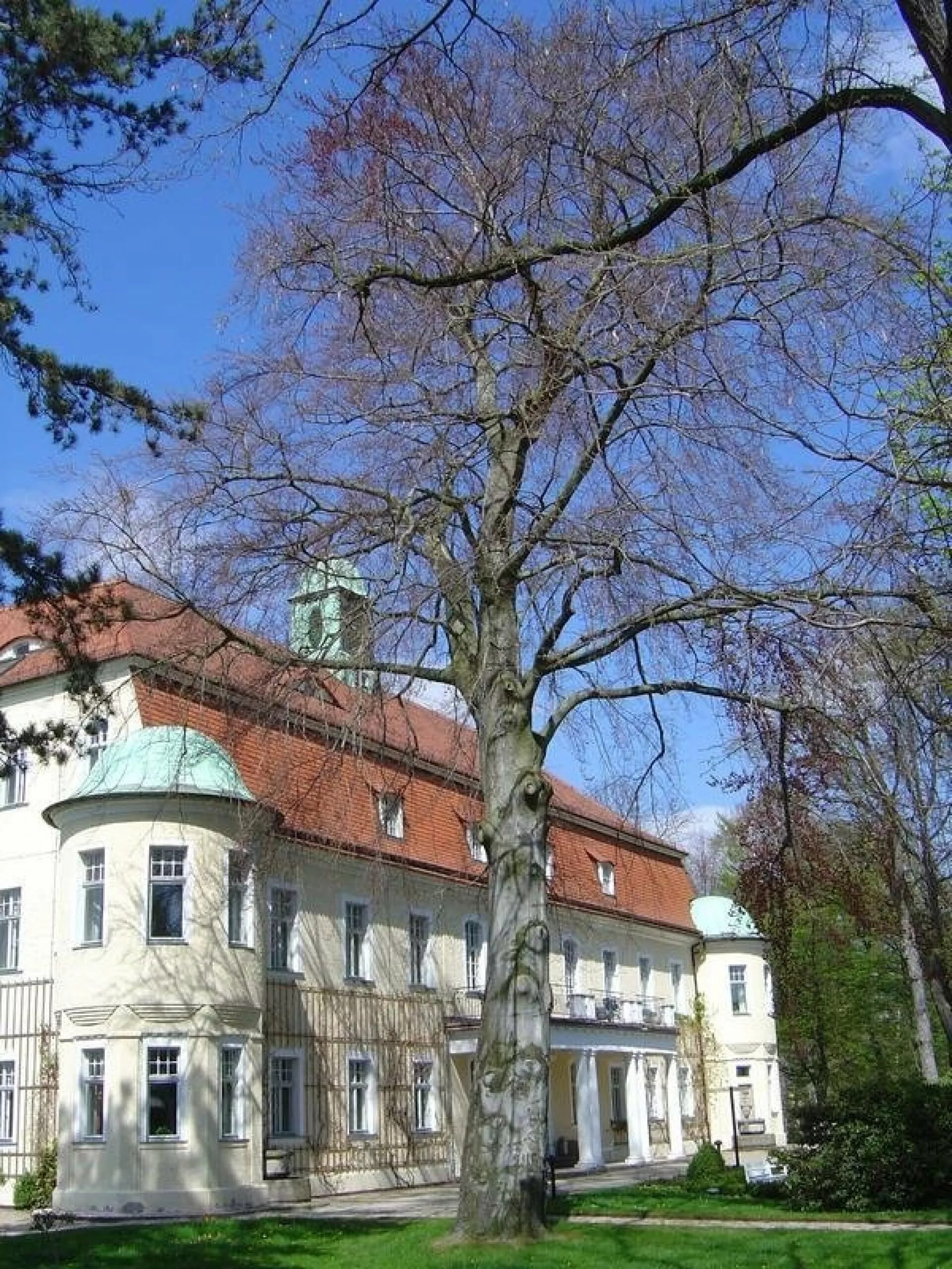 Schnuppertage auf dem Schloss Schnuppertage auf dem Schloss