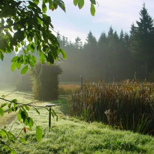 Italienische Wellness Auszeit im Erzgebirge inkl. Holzofenpizza Italienische Wellness Auszeit im Erzgebirge inkl. Holzofenpizza