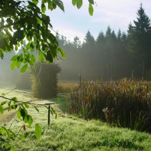 Italienische Wellness Auszeit im Erzgebirge inkl. Holzofenpizza Italienische Wellness Auszeit im Erzgebirge inkl. Holzofenpizza