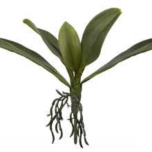 Fink Kunstblume Orchideenblätter grün Fink Kunstblume Orchideenblätter grün