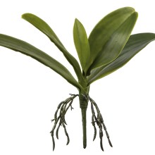 Fink Kunstblume Orchideenblätter dunkelgrün Fink Kunstblume Orchideenblätter dunkelgrün