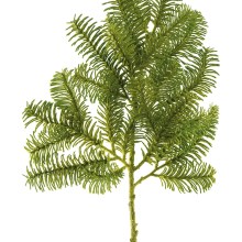 Fink Kunstblume Tannenzweig grün Fink Kunstblume Tannenzweig grün