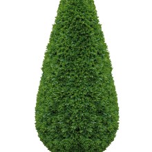 BUCHSBAUM künstlich Kunstpflanze Kegel grün Höhe 80 cm BUCHSBAUM künstlich Kunstpflanze Kegel grün Höhe 80 cm