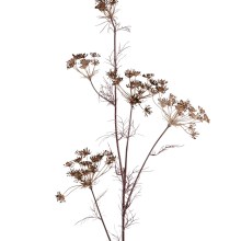 Fink Kunstblume Zweig braun Fink Kunstblume Zweig braun