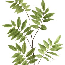 Fink Kunstblume Blatt grün Fink Kunstblume Blatt grün