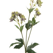 Fink Kunstblume Astrantia grün, lila Fink Kunstblume Astrantia grün, lila