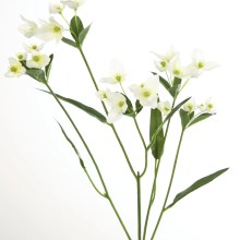 Fink Kunstblume Waxblume weiß Fink Kunstblume Waxblume weiß