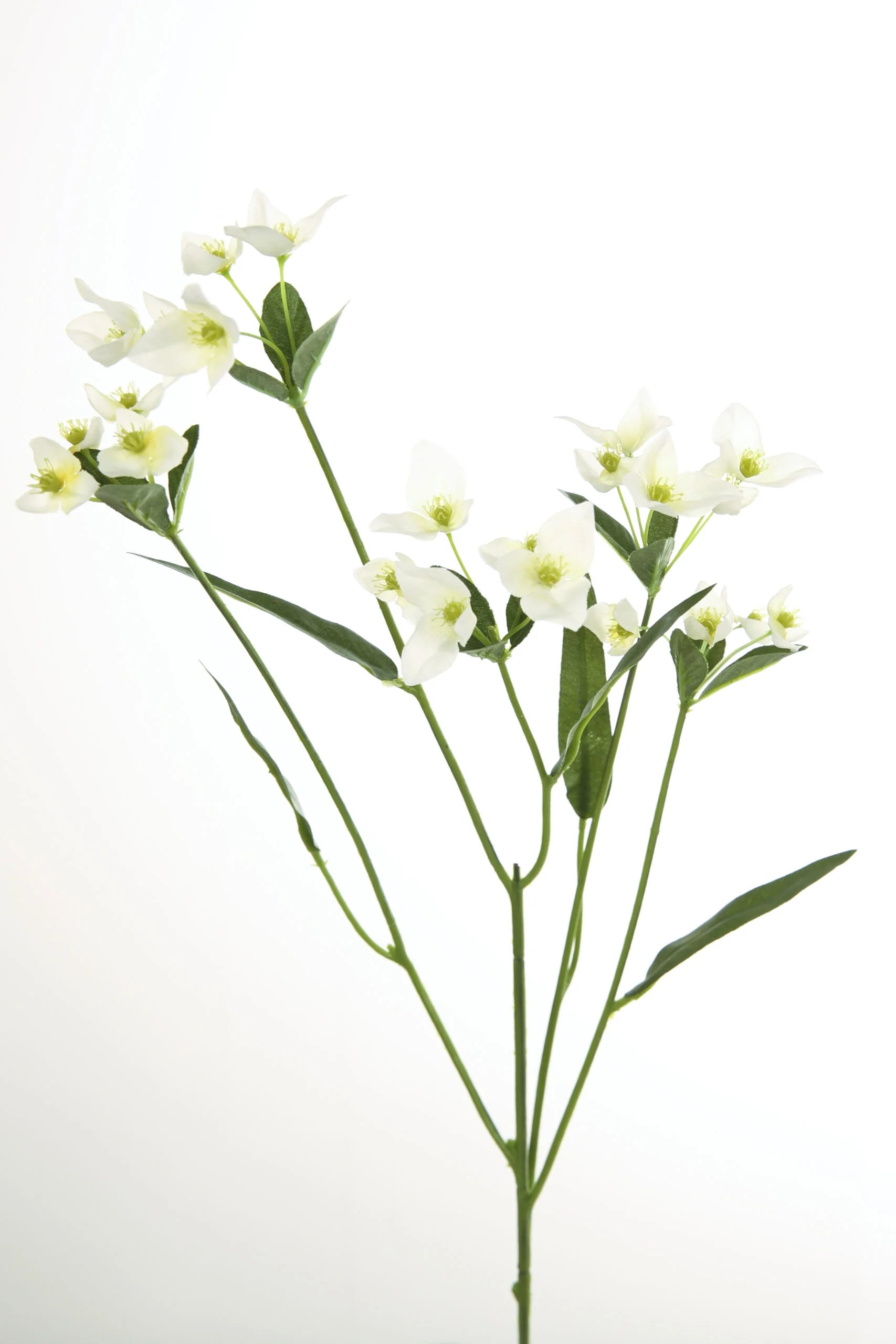 Fink Kunstblume Waxblume weiß Fink Kunstblume Waxblume weiß