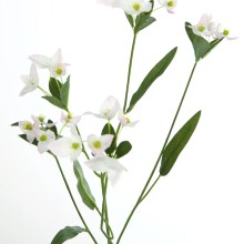 Fink Kunstblume Waxblume hell-pink Fink Kunstblume Waxblume hell-pink