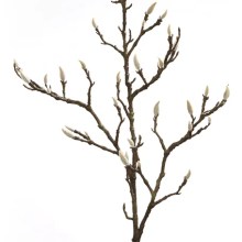 Fink Kunstblume Magnolienknospenzweig dunkelbraun Fink Kunstblume Magnolienknospenzweig dunkelbraun