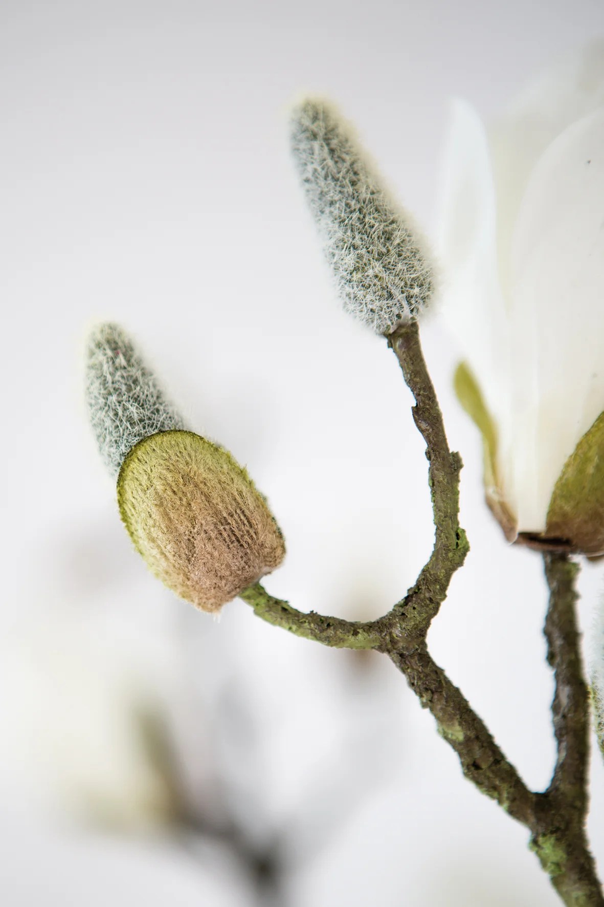 Fink Kunstblume Magnolienzweig weiß Fink Kunstblume Magnolienzweig weiß