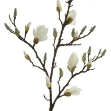 Fink Kunstblume Magnolienzweig weiß Fink Kunstblume Magnolienzweig weiß