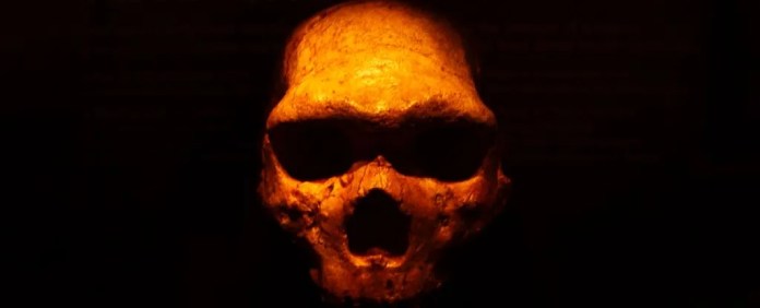 ''(* )head forefathers ':Large fossils might shock the New family history in Human ''(* )head forefathers ':Large fossils might shock the New family history in Human