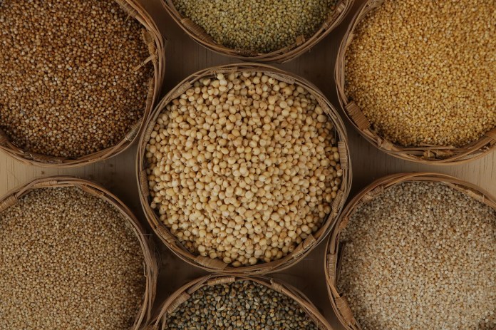 Millets vs. PCOS: the unexpected superfood every female requires to recognize Millets vs. PCOS: the unexpected superfood every female requires to recognize