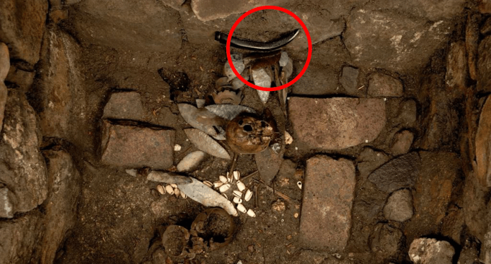 Item discovered amongst human heads loses brand-new light on old civilisation: ‘Only one in the world’ Item discovered amongst human heads loses brand-new light on old civilisation: ‘Only one in the world’