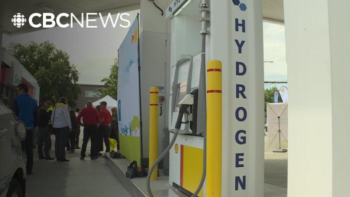 Numerous B.C. hydrogen jobs delayed or terminated, FOI exposes Numerous B.C. hydrogen jobs delayed or terminated, FOI exposes