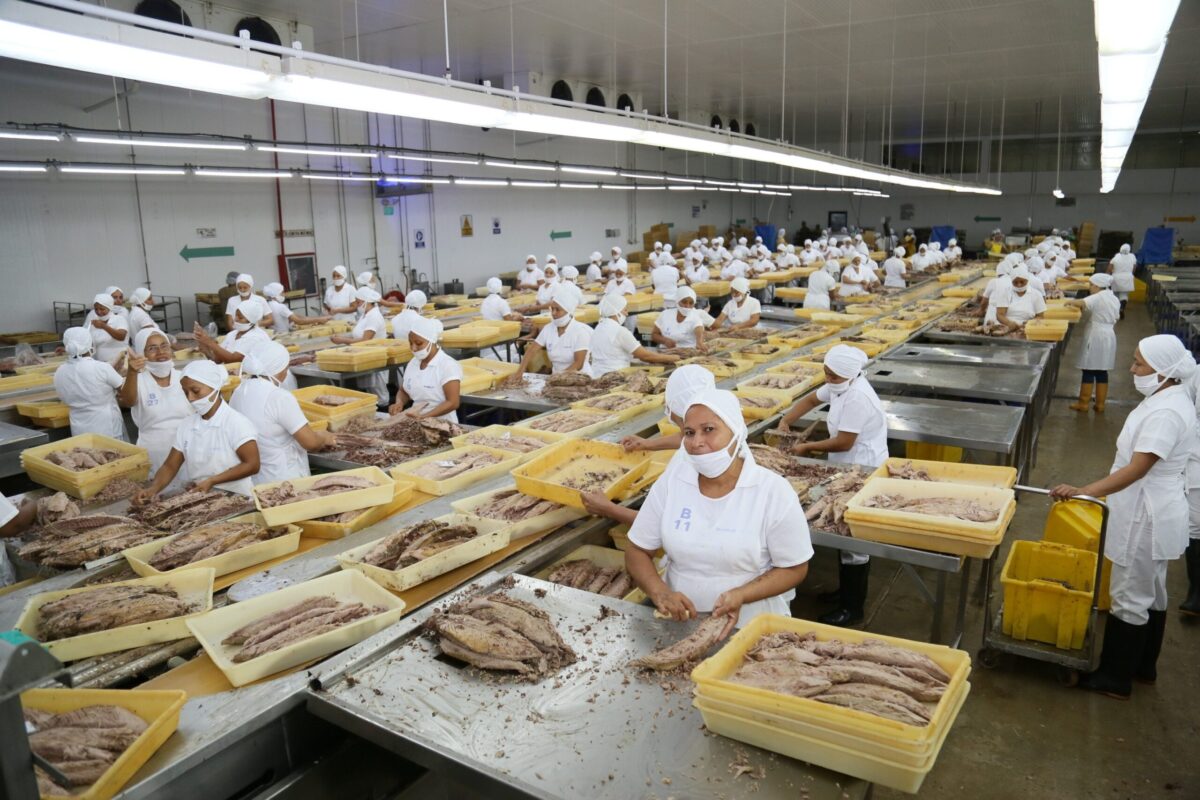 Ecuador se posiciona en el mundo Ecuador se posiciona en el mundo