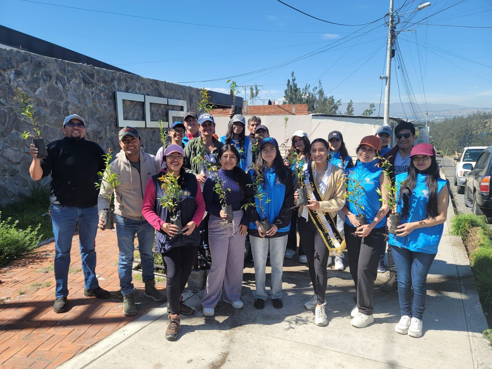 Minga de plantación forestal – El Heraldo Minga de plantación forestal – El Heraldo