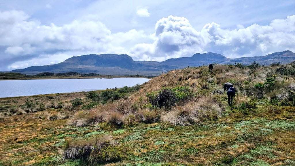 Guardaparques y docentes evalúan sendero de ‘Kuri Pishku’ Guardaparques y docentes evalúan sendero de ‘Kuri Pishku’