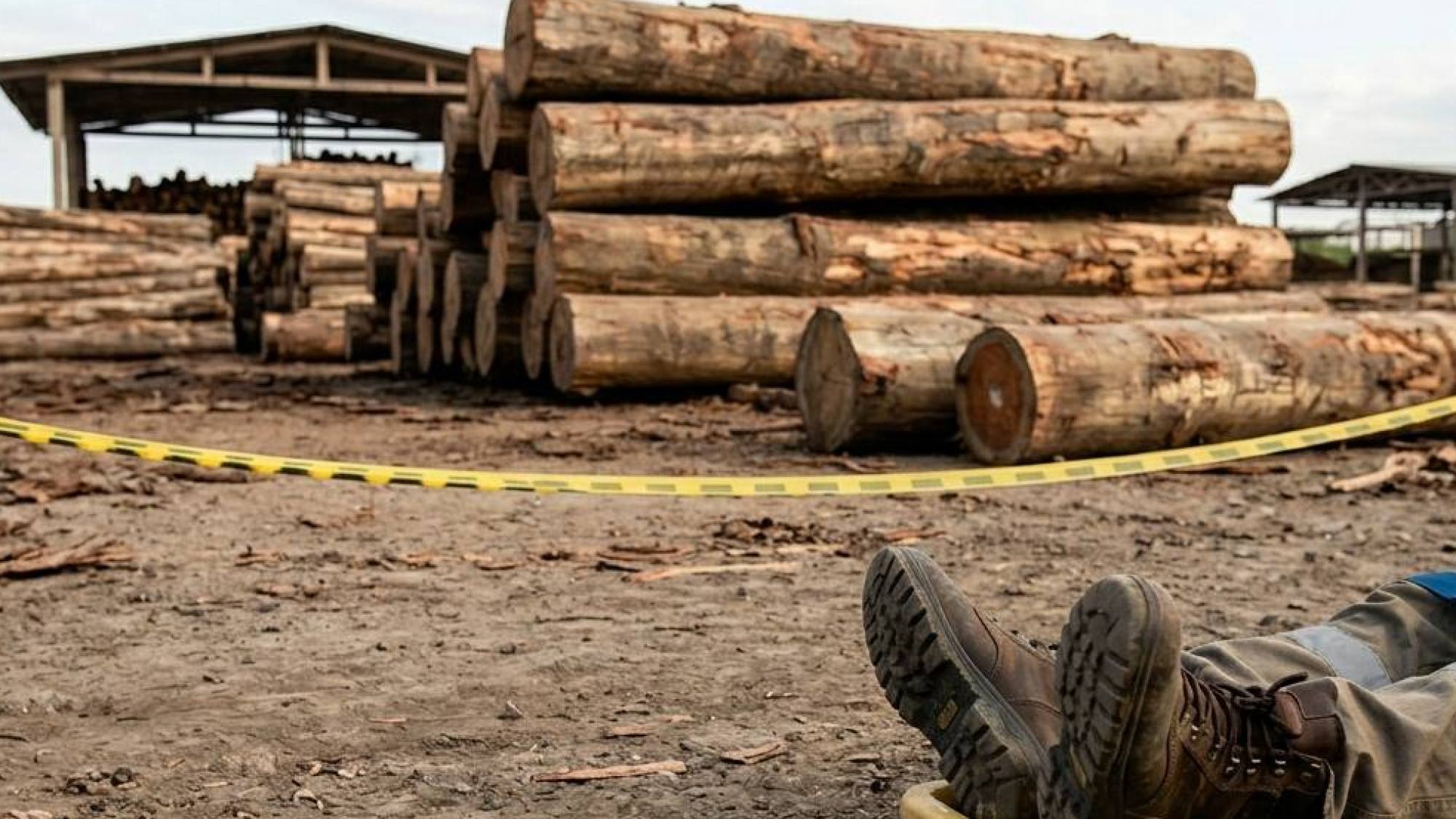 Trabajador fallece tras caída de trozas de balsa Trabajador fallece tras caída de trozas de balsa