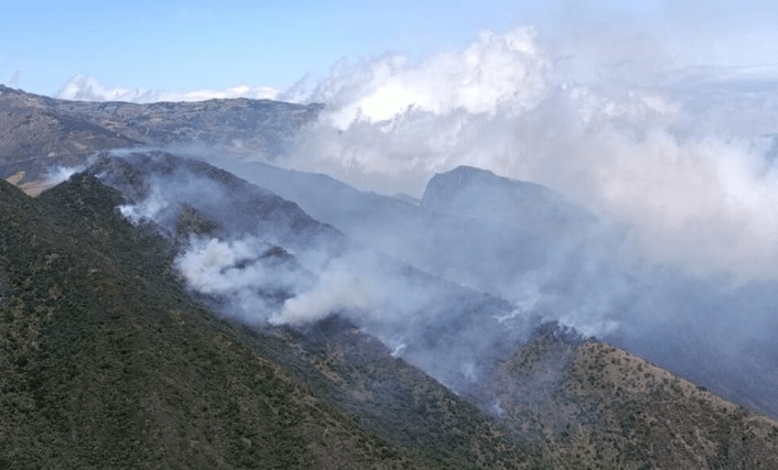 Riesgo de incendios forestales aumenta por altas temperaturas Riesgo de incendios forestales aumenta por altas temperaturas