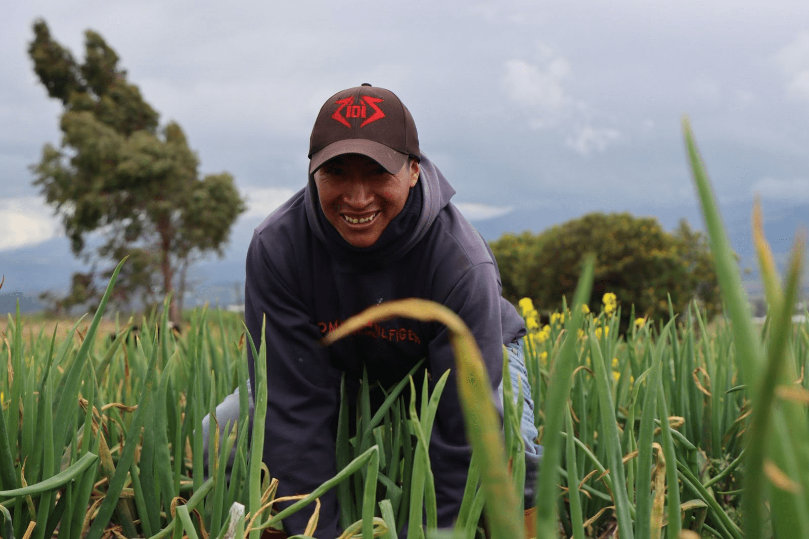 Bono Raíces llega a 70.000 productores tras eliminación del subsidio al diésel Bono Raíces llega a 70.000 productores tras eliminación del subsidio al diésel